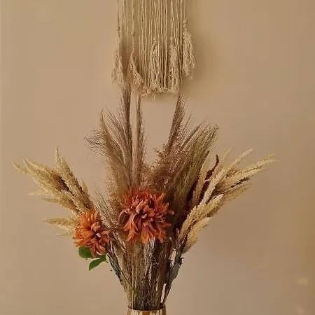 Apartment Blysk I Blask Klodzko