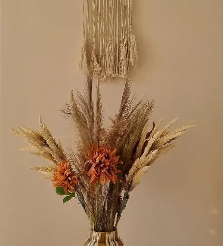 Apartmán Blysk I Blask Kladsko